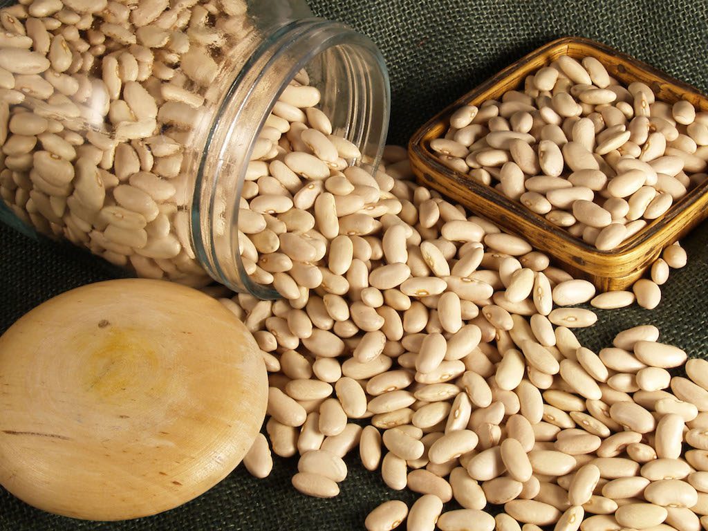 alubias de la bañeza